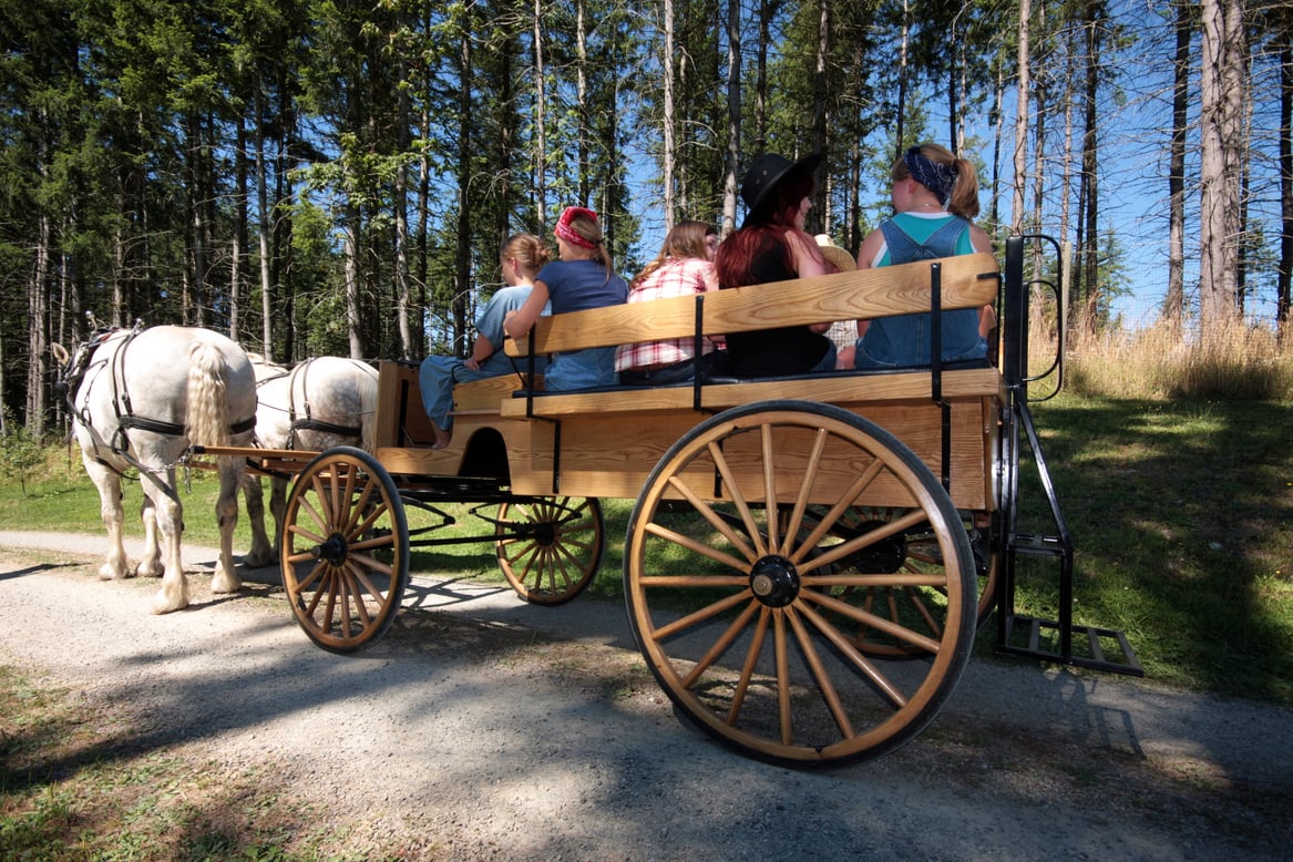 Country Wagon Ride